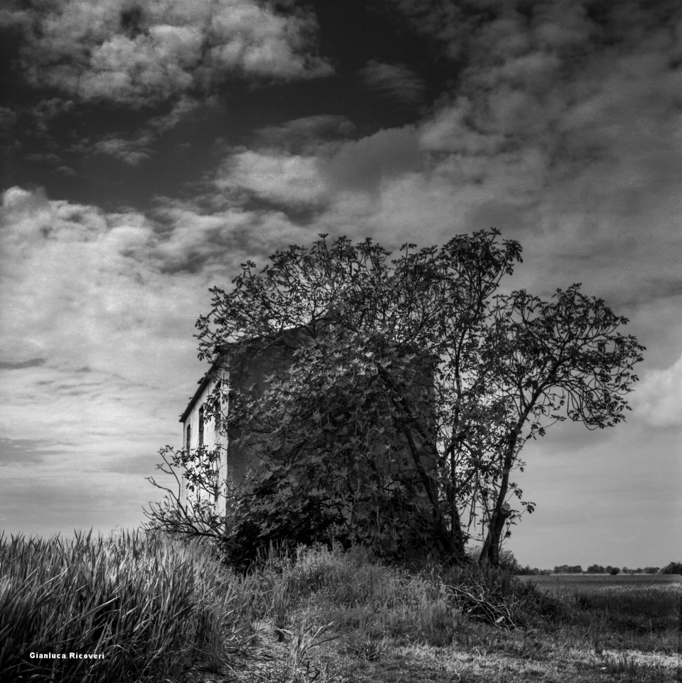 The ruined house