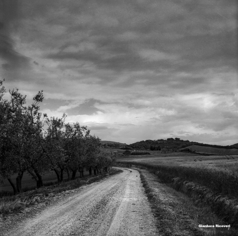 Tuscany's Hills  analogical view # 5