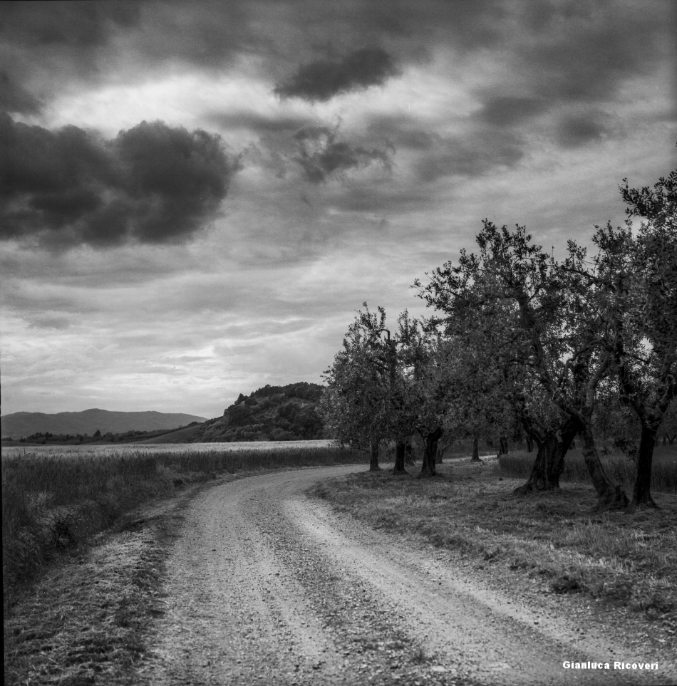 Tuscany's Hills  analogical view # 6