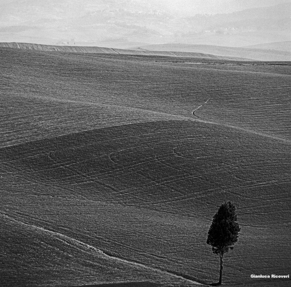 Tuscany's Hills  analogical view # 13