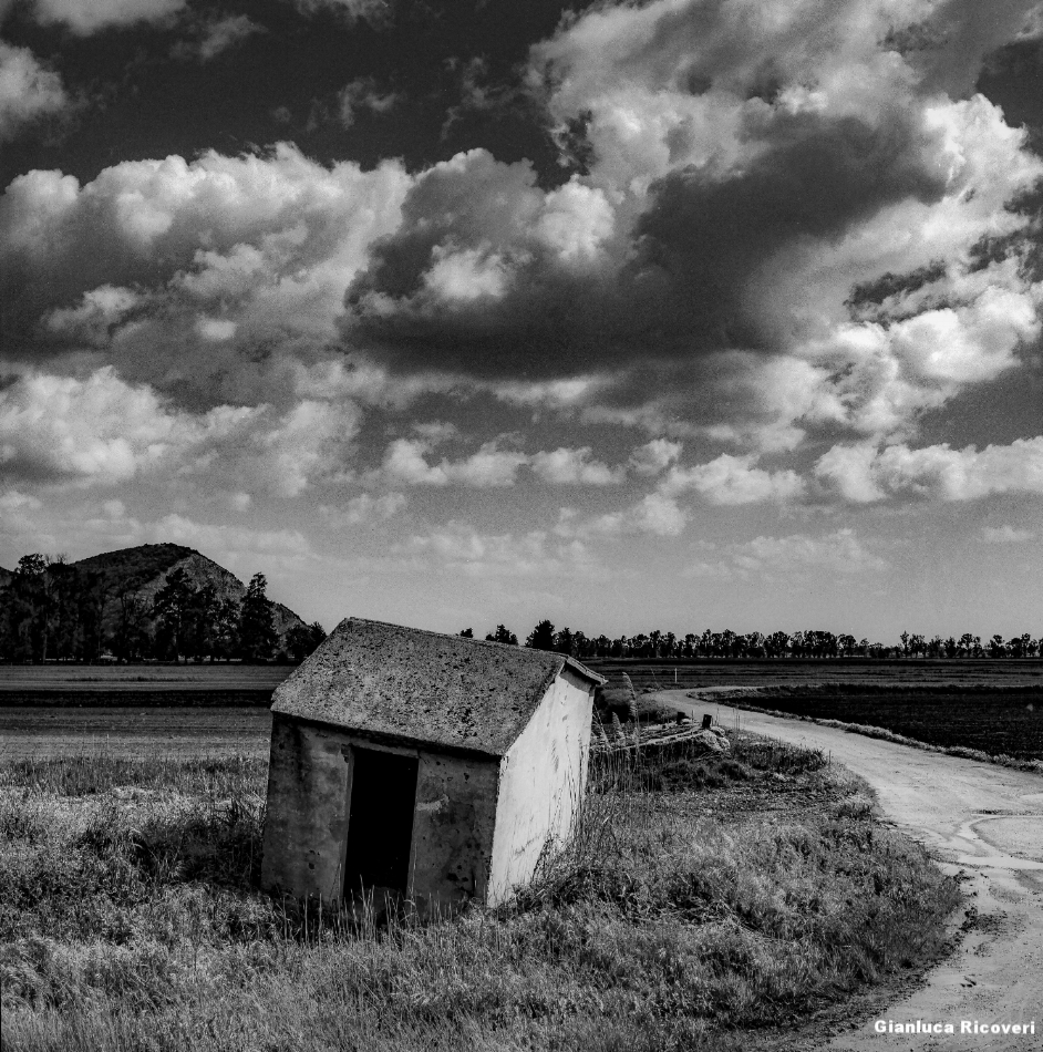 Tuscany's Hills  analogical view # 9