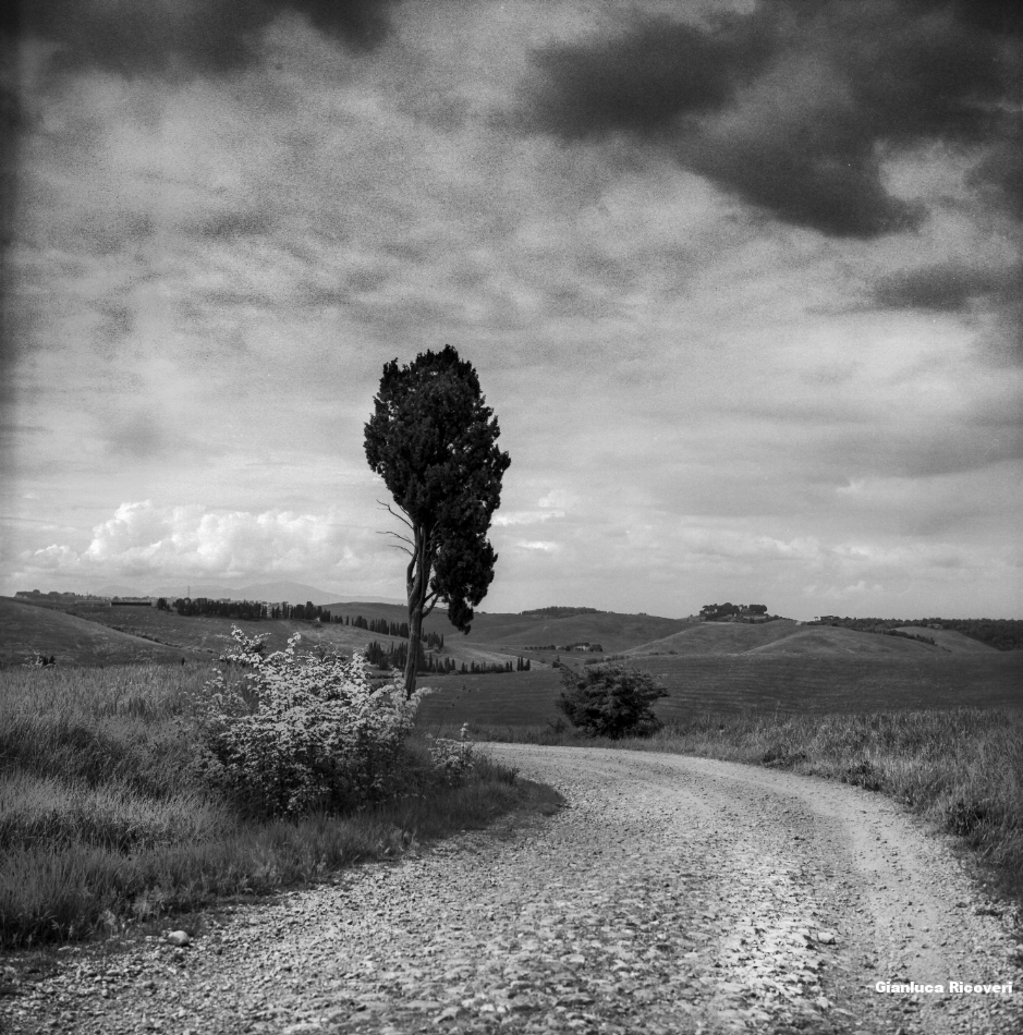 Tuscany's Hills  analogical view # 11