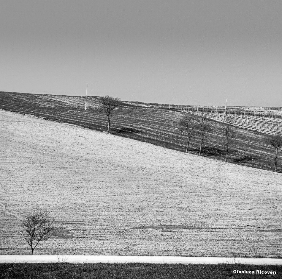 Tuscany's Hills  analogical view # 12