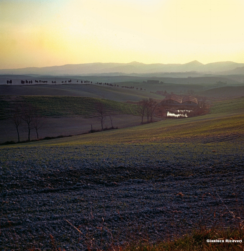 Tuscany's hills in Colours # 4