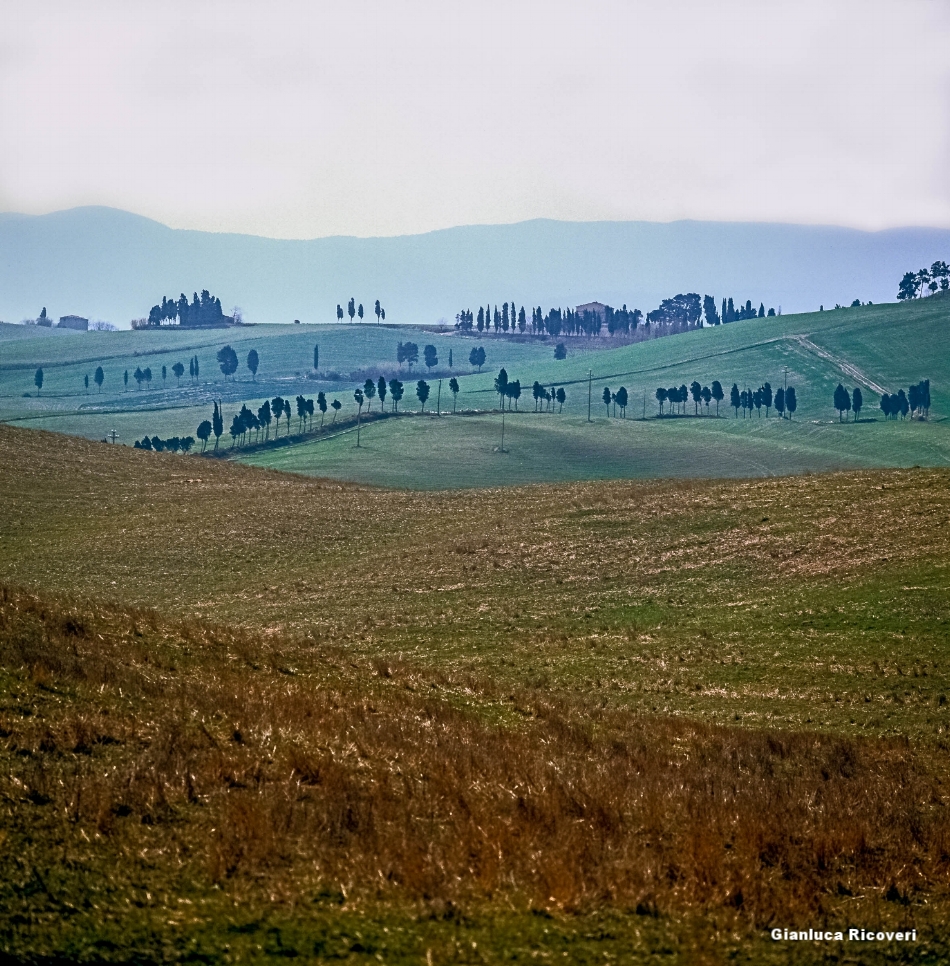 Tuscany's hills in Colours # 8