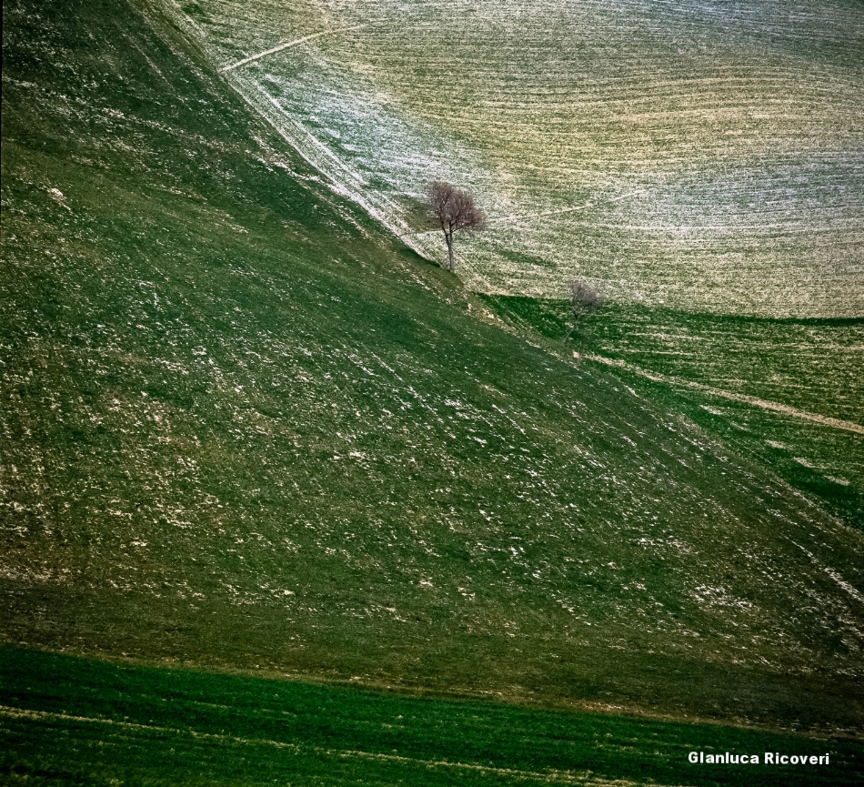 Tuscany's hills in Colours # 9
