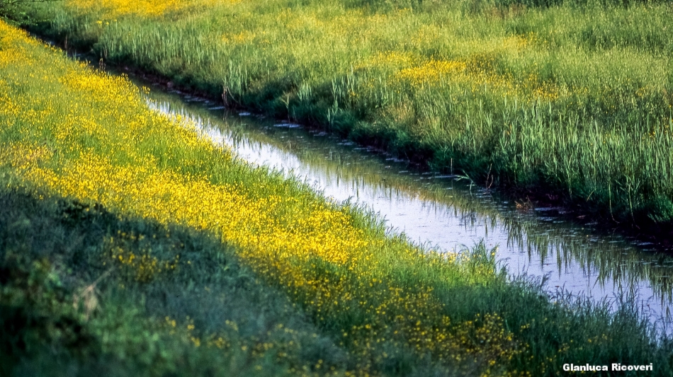 Tuscany's hills in Colours # 10