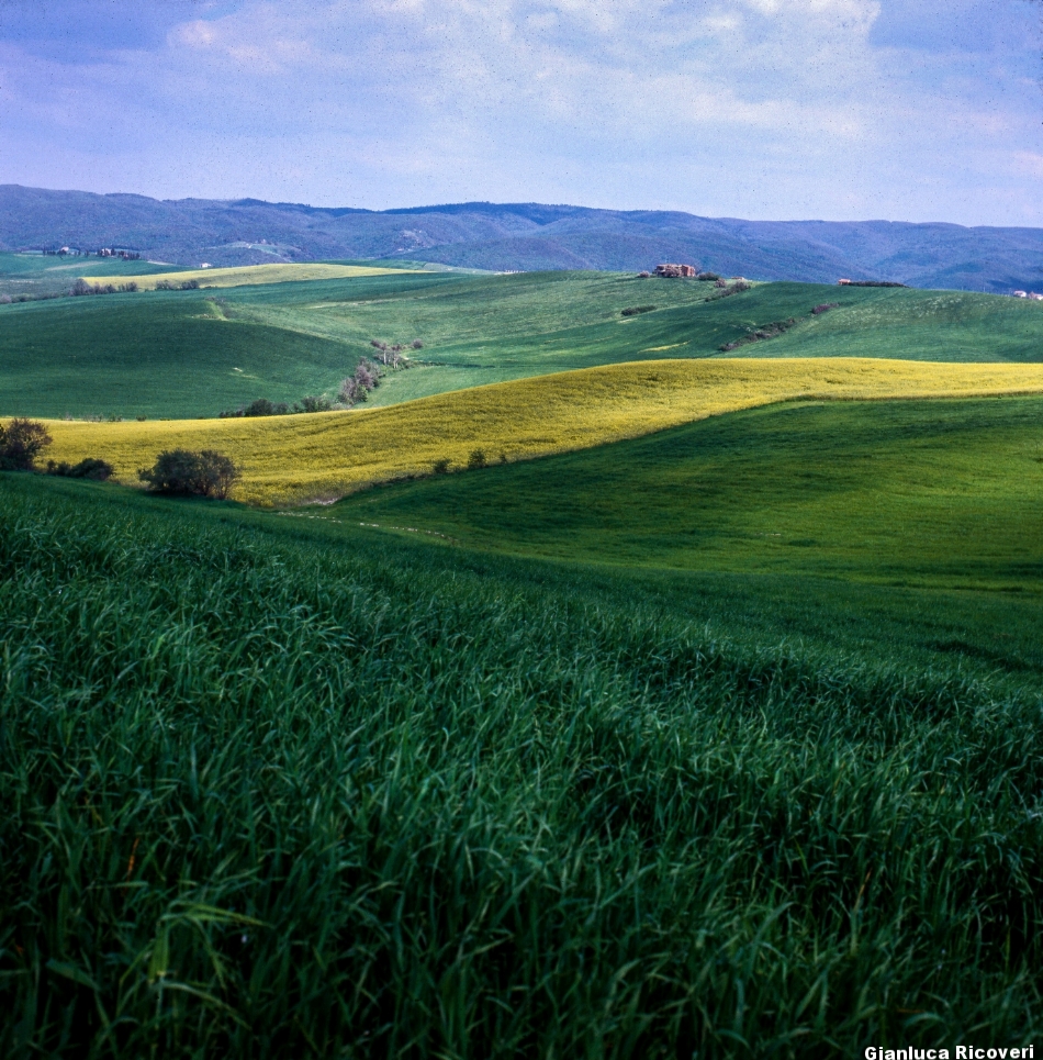 Tuscany's hills in Colours # 12