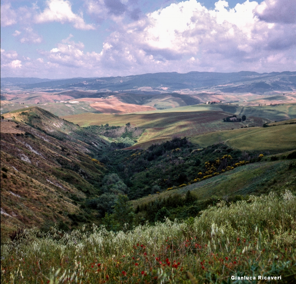 Tuscany's hills in Colours # 13