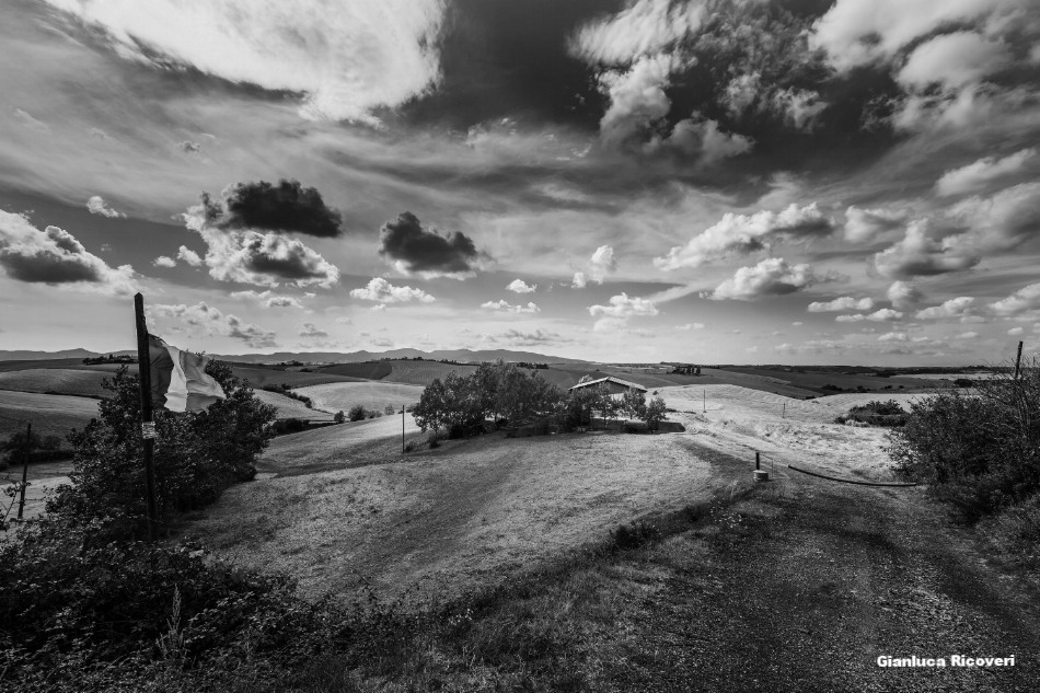 Tuscany's hills in B&W # 06