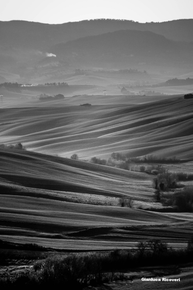 Tuscany's hills in B&W # 10