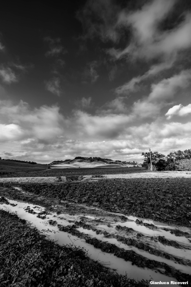 Tuscany's hills in B&W # 12