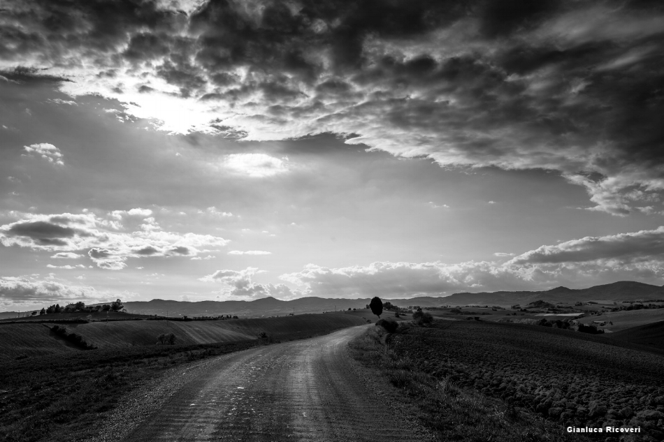 Tuscany's hills in B&W # 20