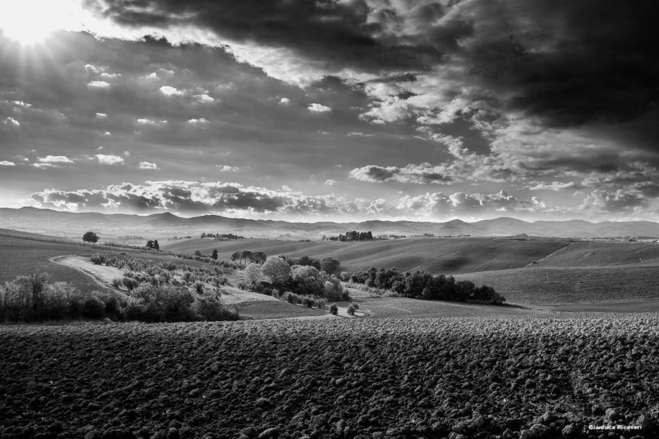 Tuscany's hills in B&W # 24