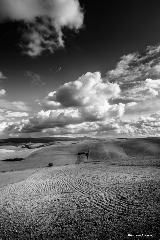 Tuscany's hills in B&W # 25