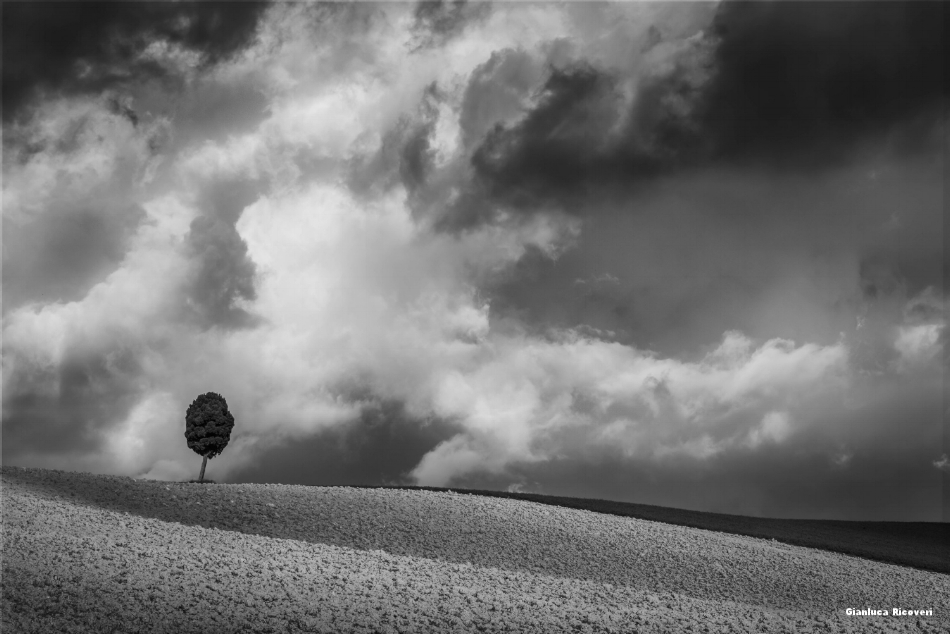 Tuscany's hills in B&W # 34