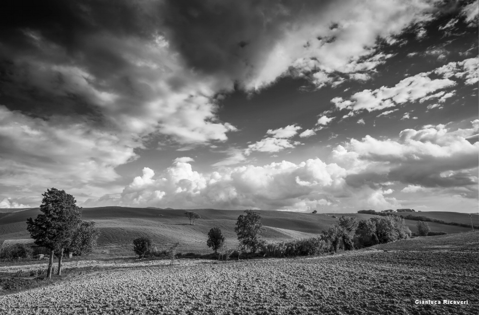 Tuscany's hills in B&W # 37