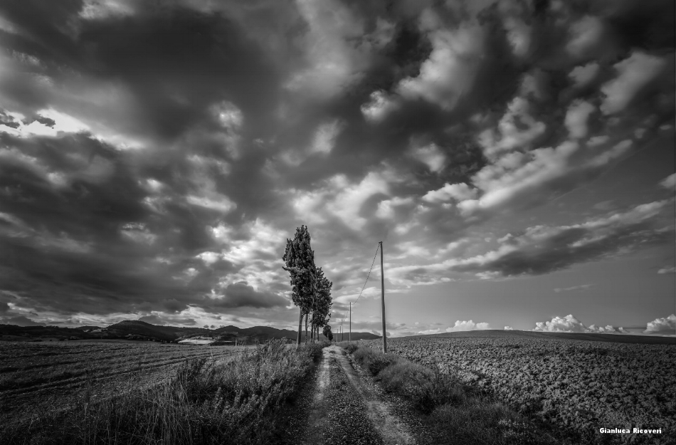 Tuscany's hills in B&W # 39