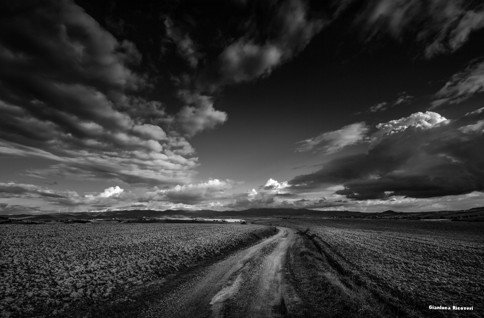 Tuscany's hills in B&W # 42