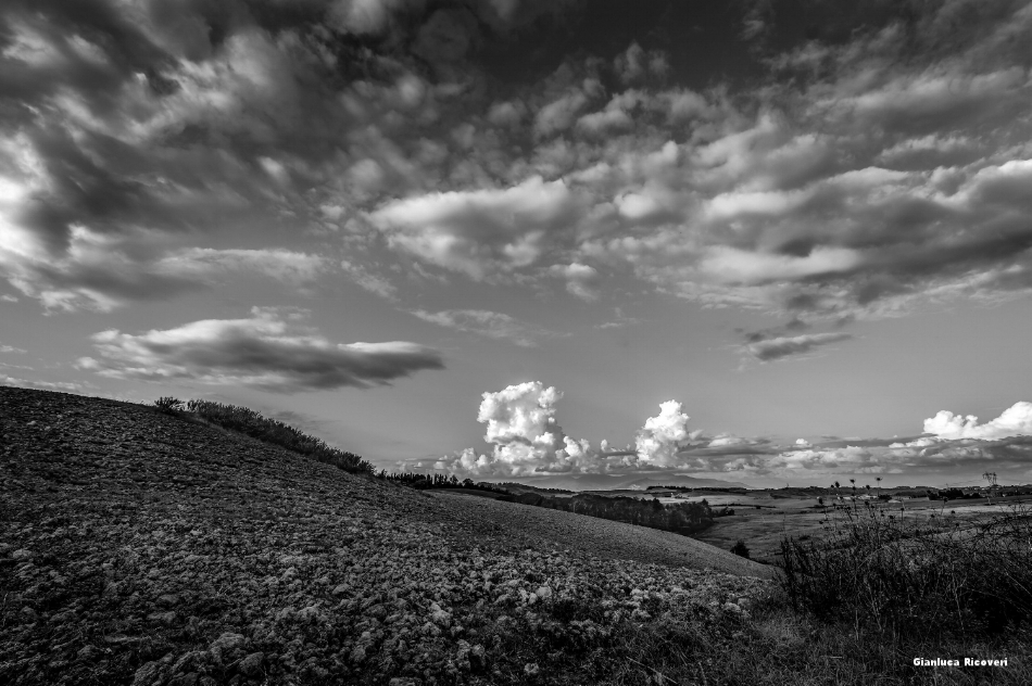 Tuscany's hills in B&W # 43