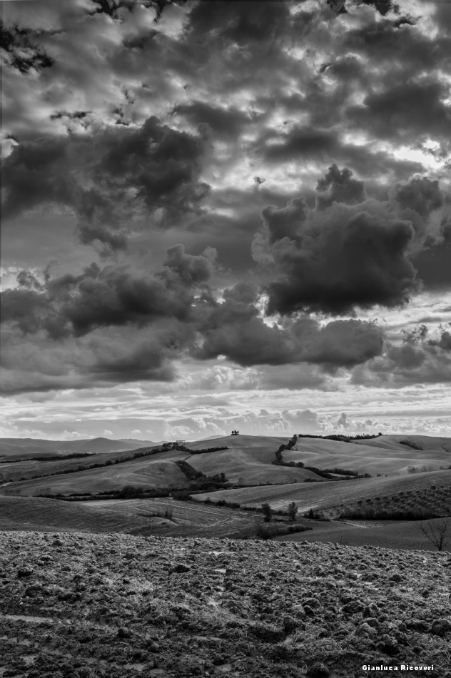 Tuscany's hills in B&W # 45