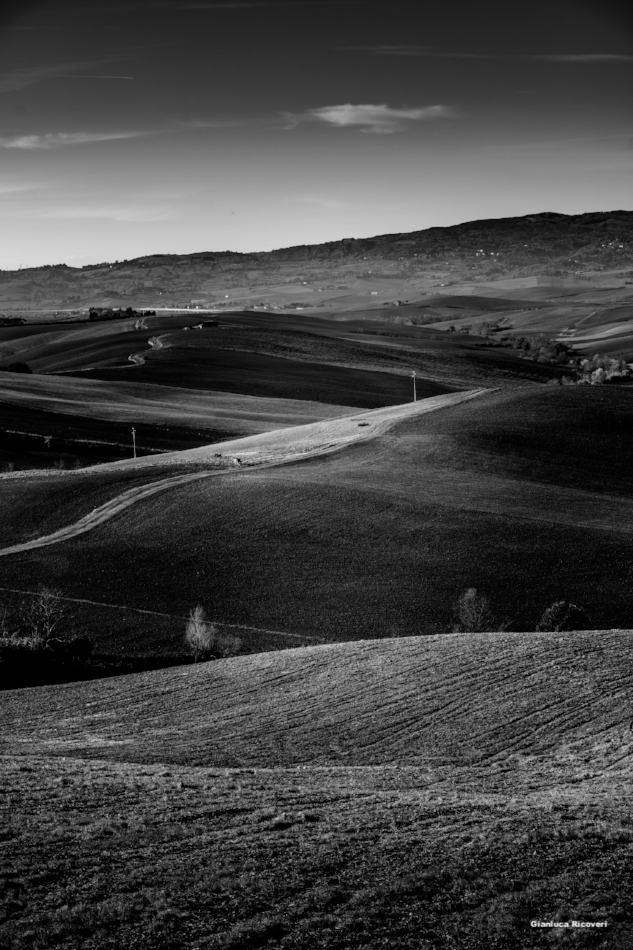 Tuscany's hills in B&W # 49