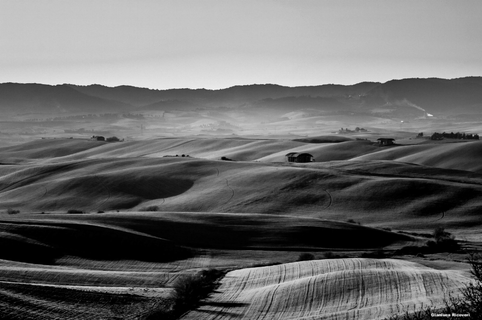 Tuscany's hills in B&W # 50