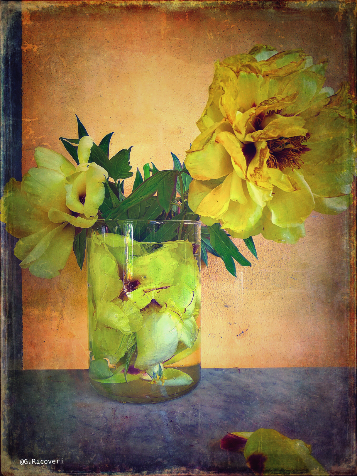 IMG_7918.png