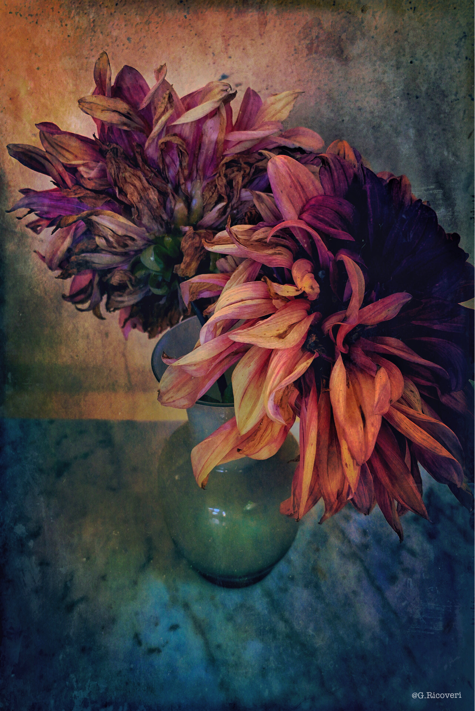 IMG_6306.png