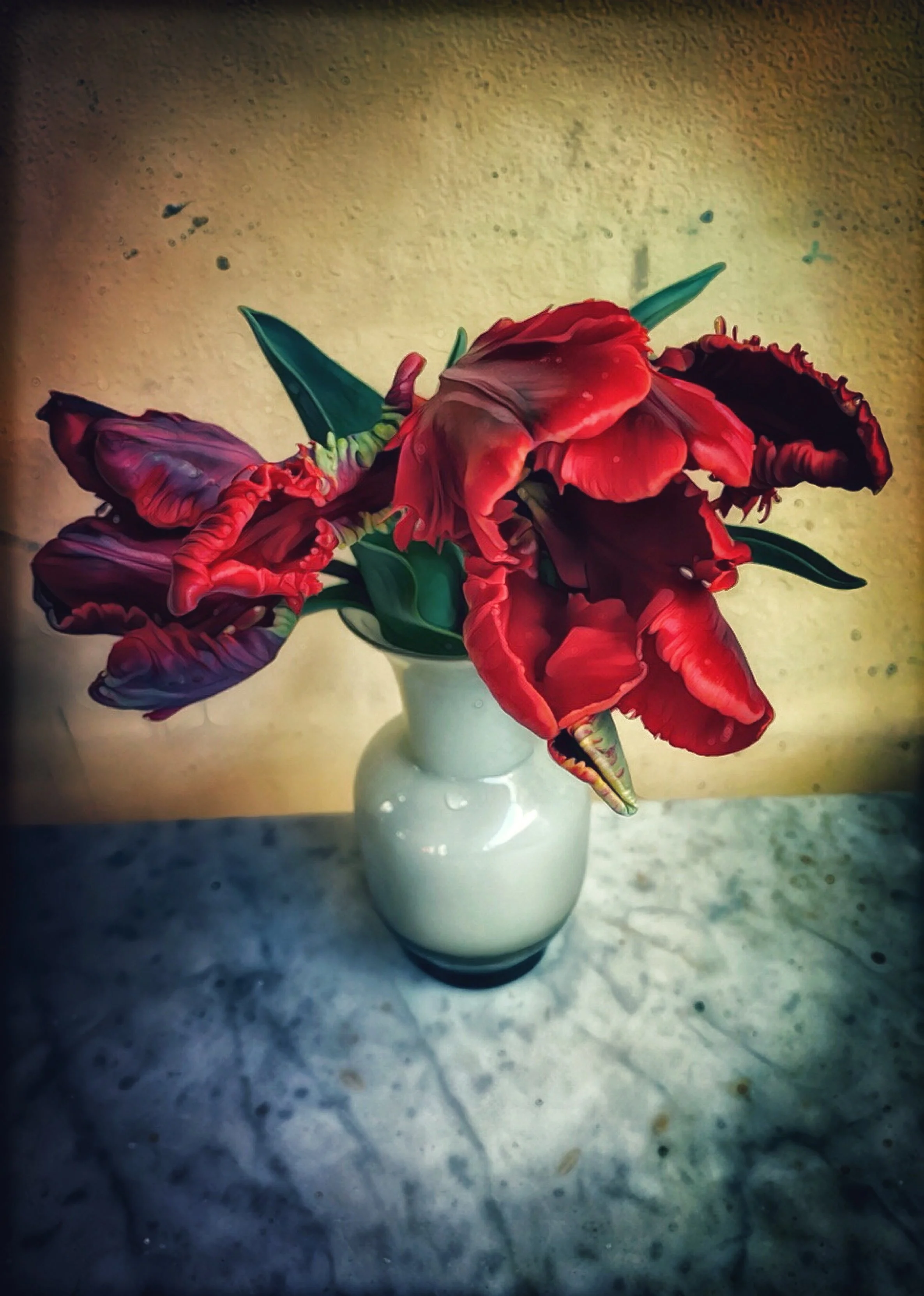 IMG_5666.jpeg