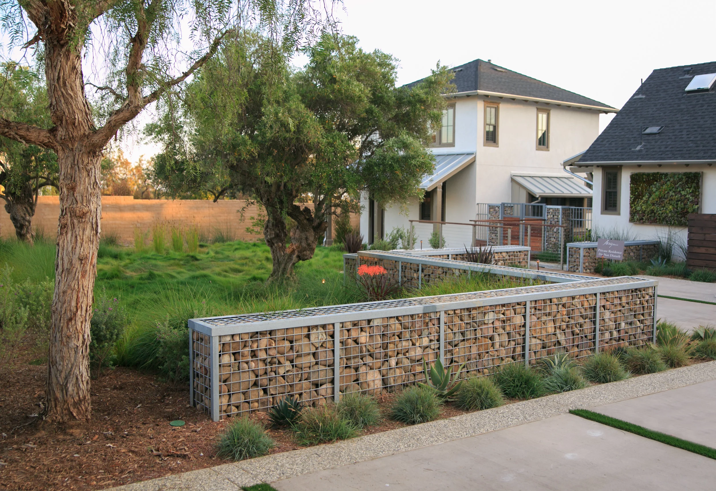 Linear Landscape Architecture creates drought-tolerant designs keeping in mind San Diego’s Mediterranean climate