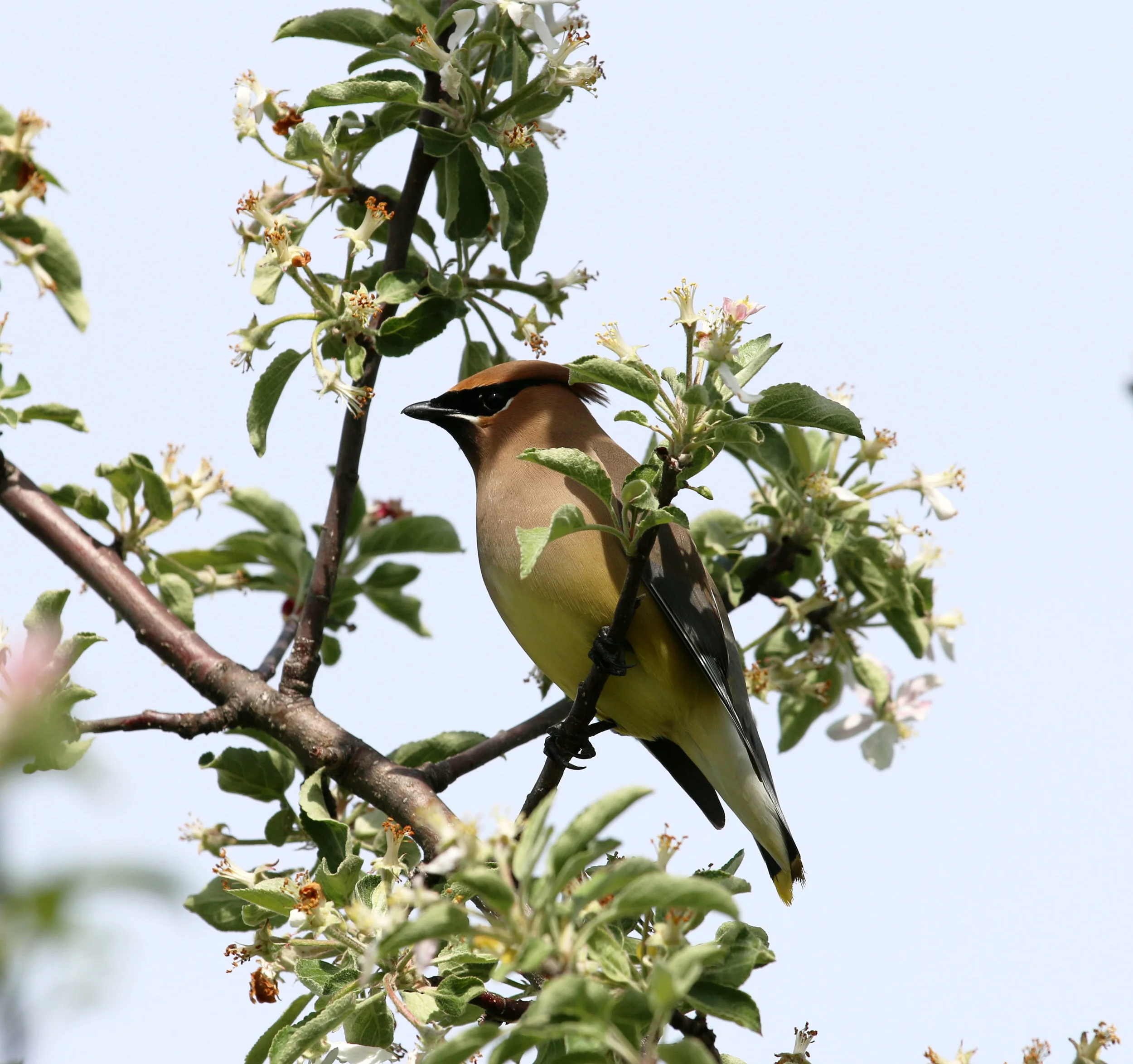 IMG_5599 - Copy - Copy.JPG