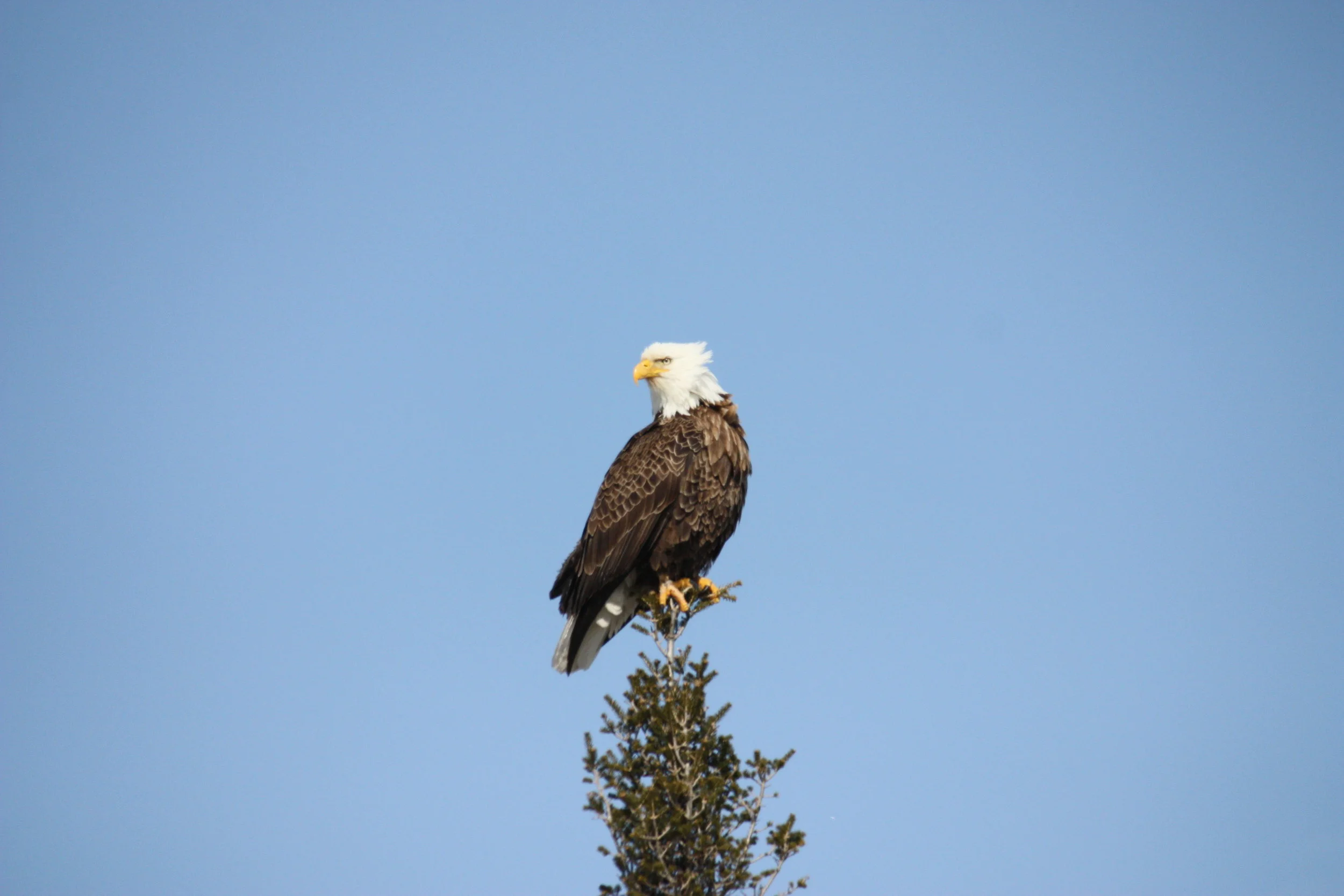 IMG_4988.JPG