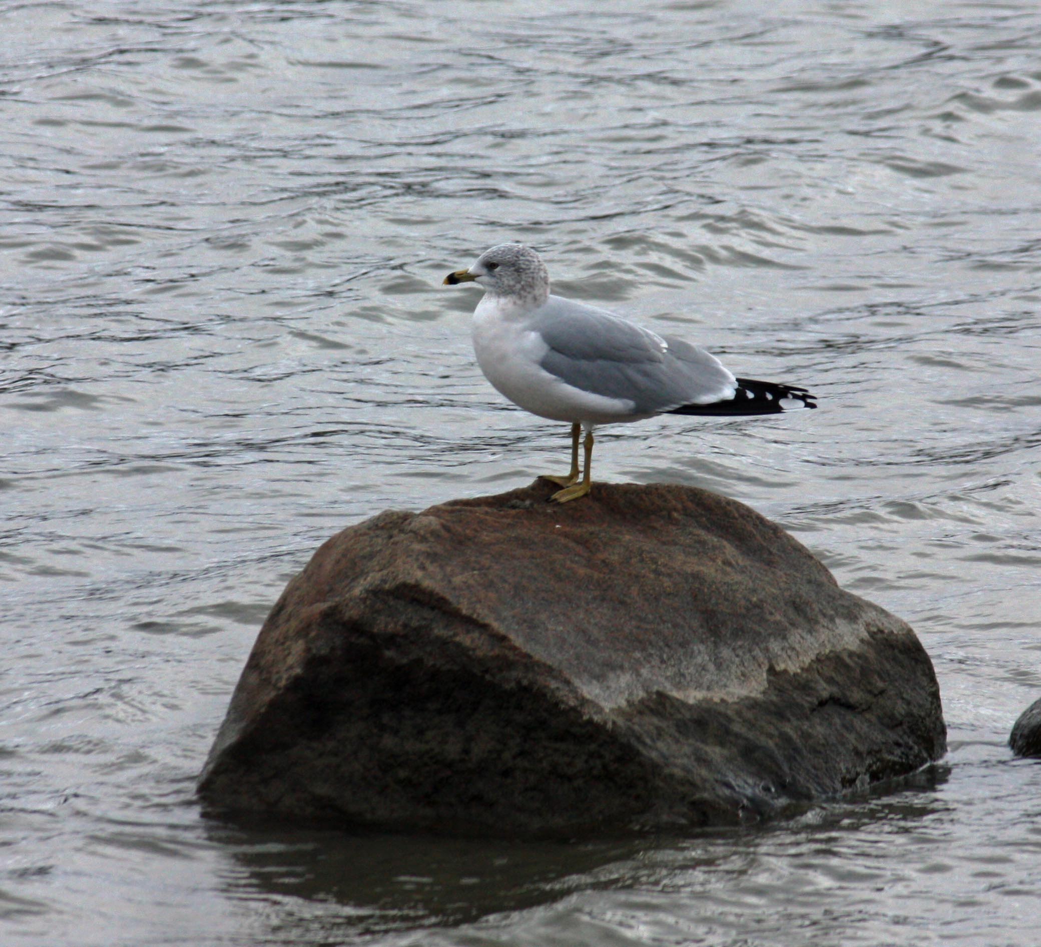 IMG_3397.JPG