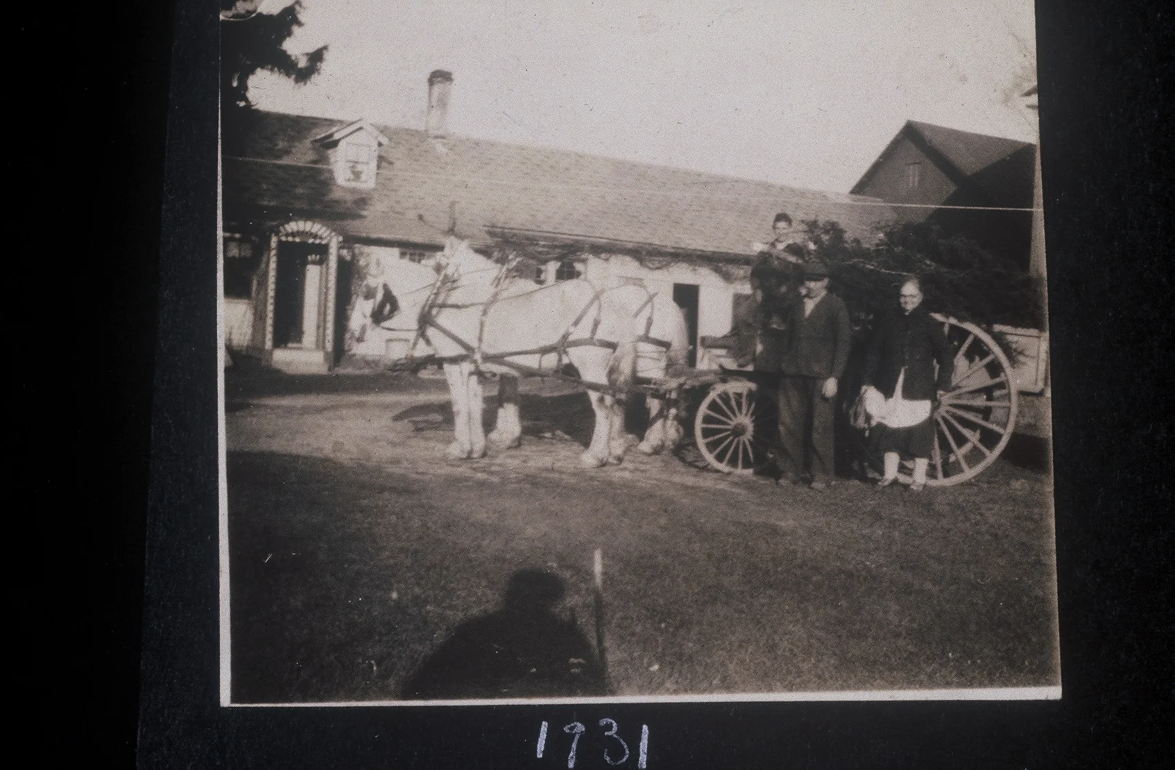 Family Posing with their Horse and Buggy