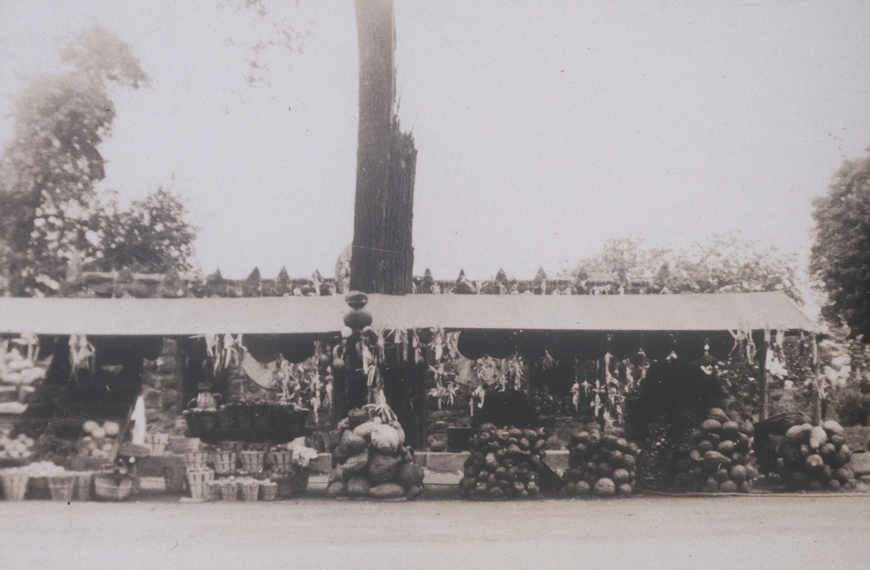 The Millstone Farm Stand