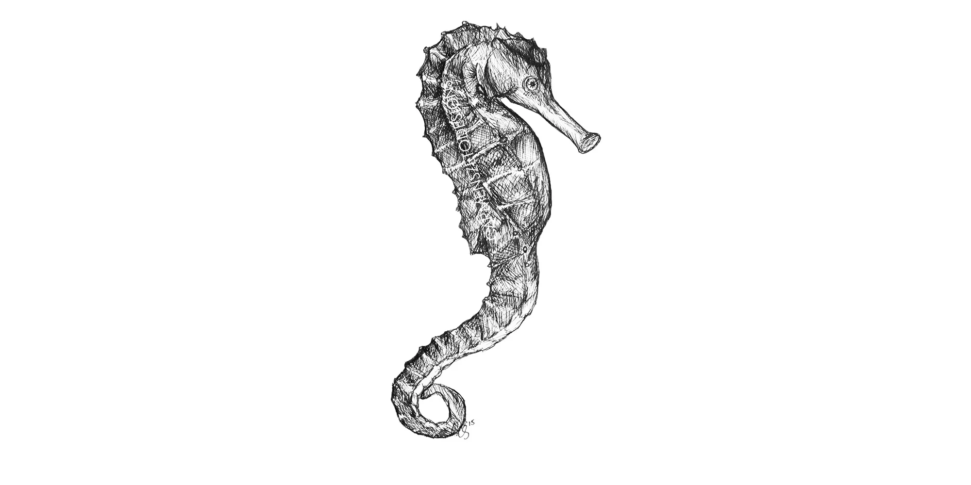 Seahorse