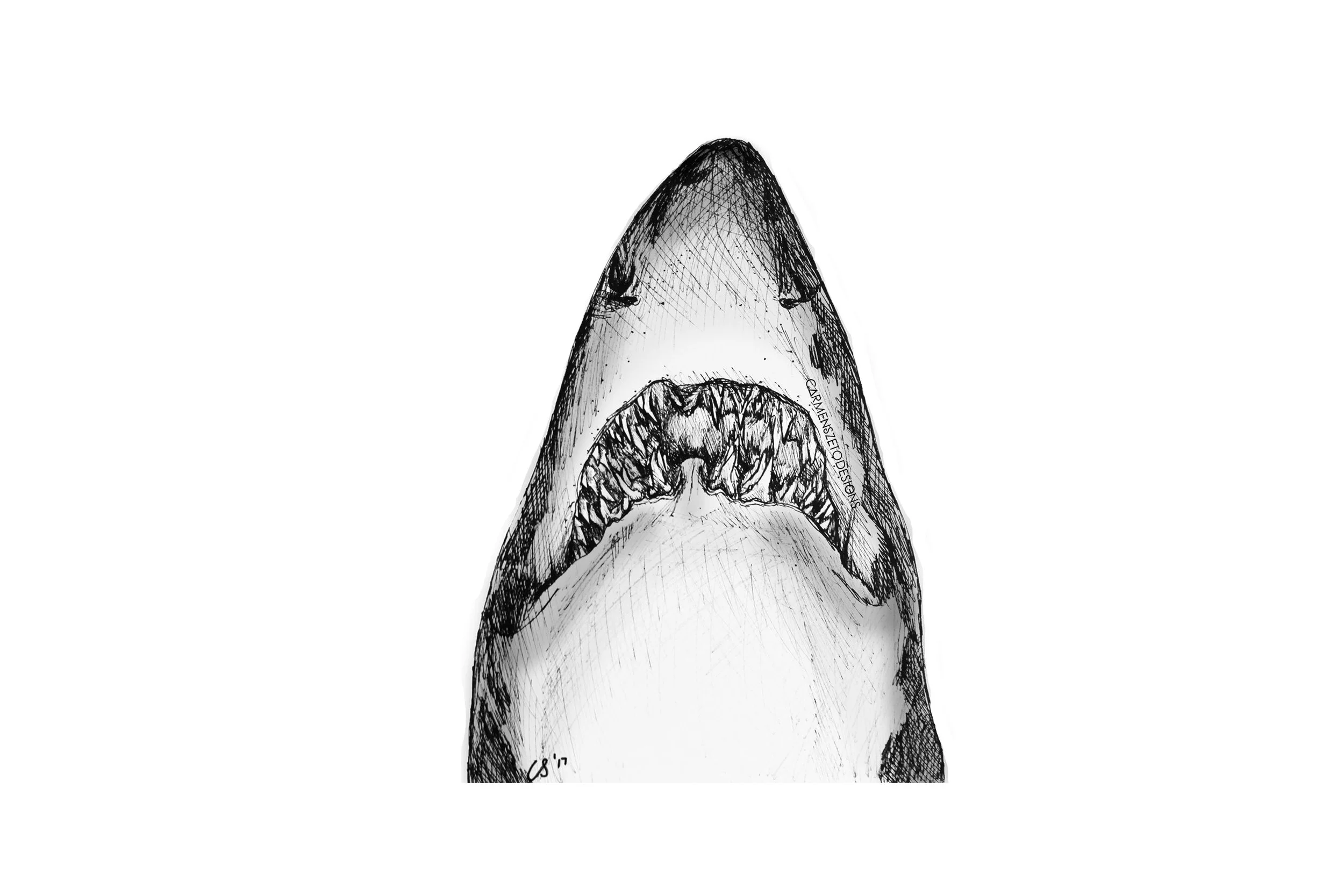 Sand Tiger Shark