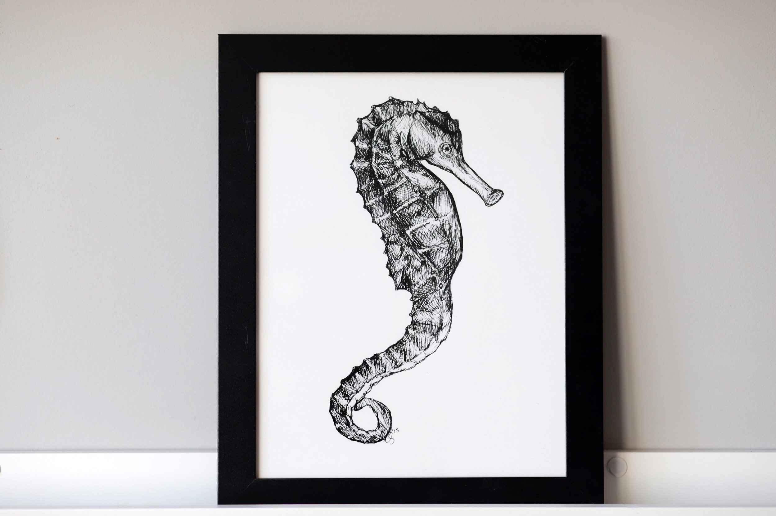 Common Seahorse Print