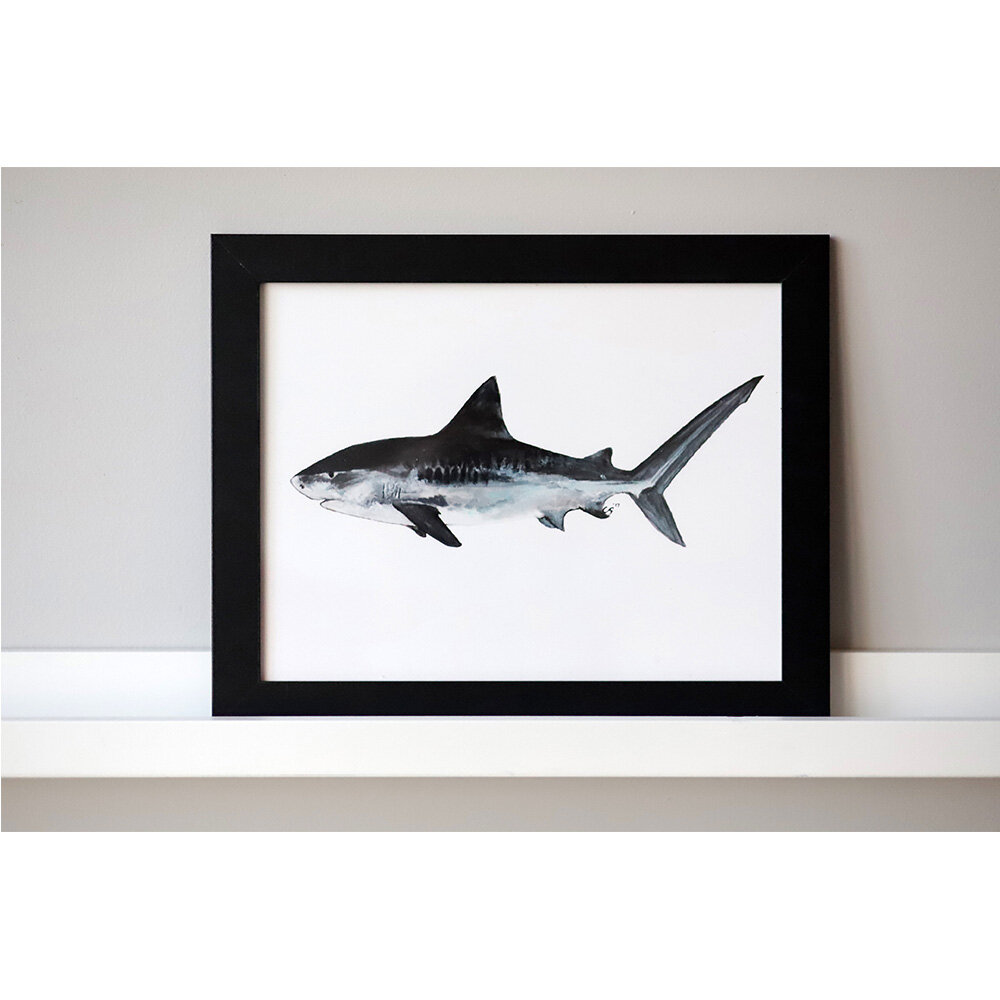 Tiger Shark Print