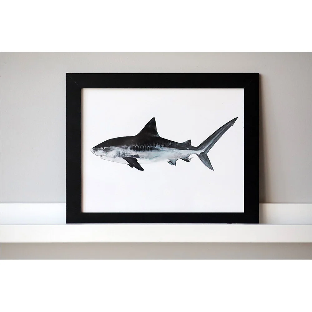 Tiger Shark_Ecommerce_1000x1000.jpg