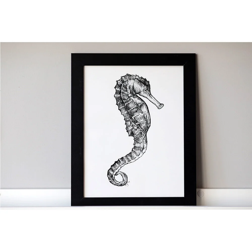 Seahorse_Ecommerce_1000x1000.jpg