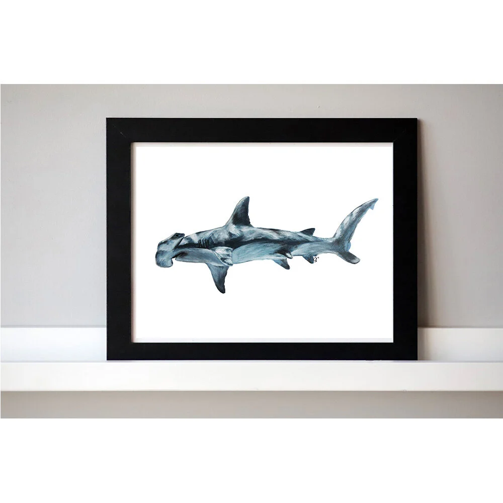 Hammerhead_Ecommerce_1000x1000.jpg