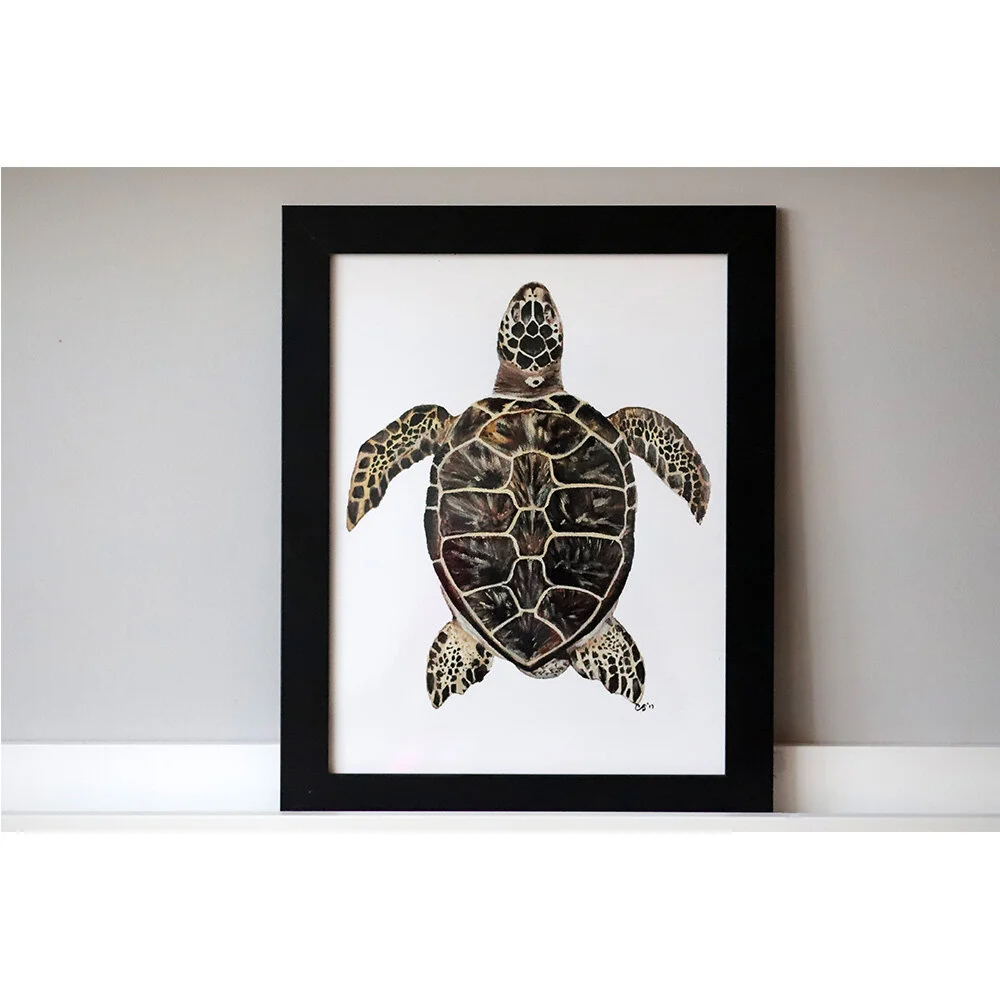 Green Sea Turtle_Ecommerce_1000x1000.jpg