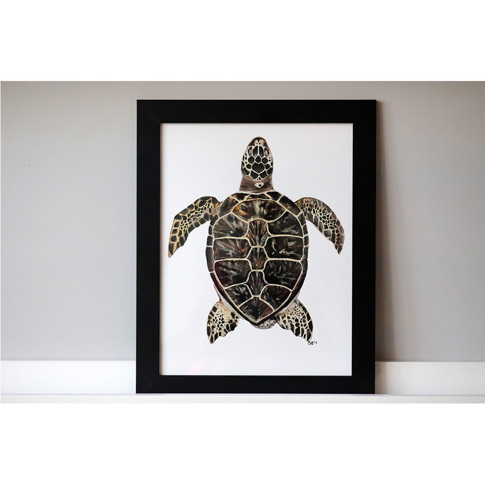 Green Sea Turtle Print