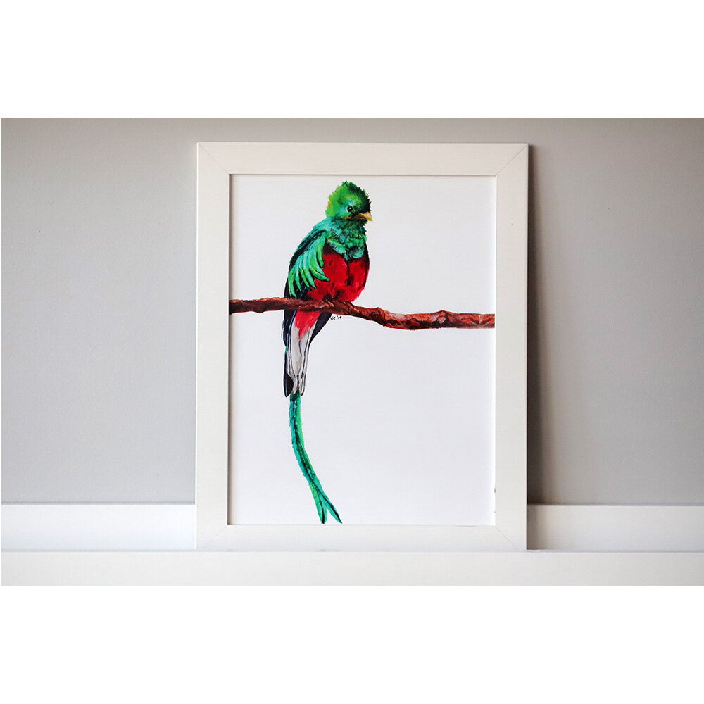Quetzal Print
