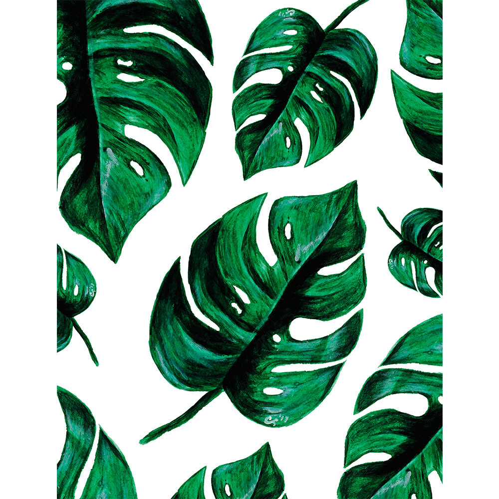 Philodendron_Ecommerce_2_1000x1000.jpg