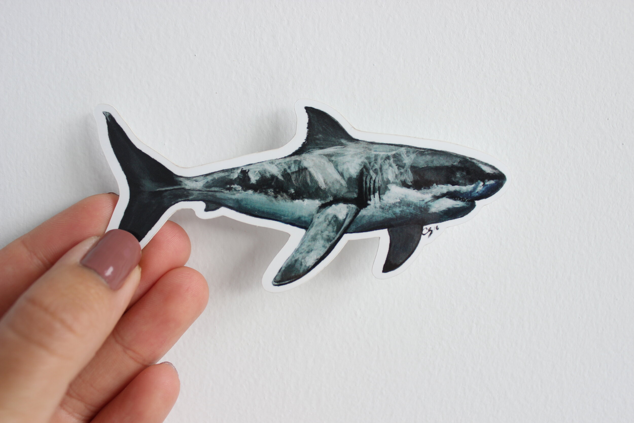 Great White Shark Sticker
