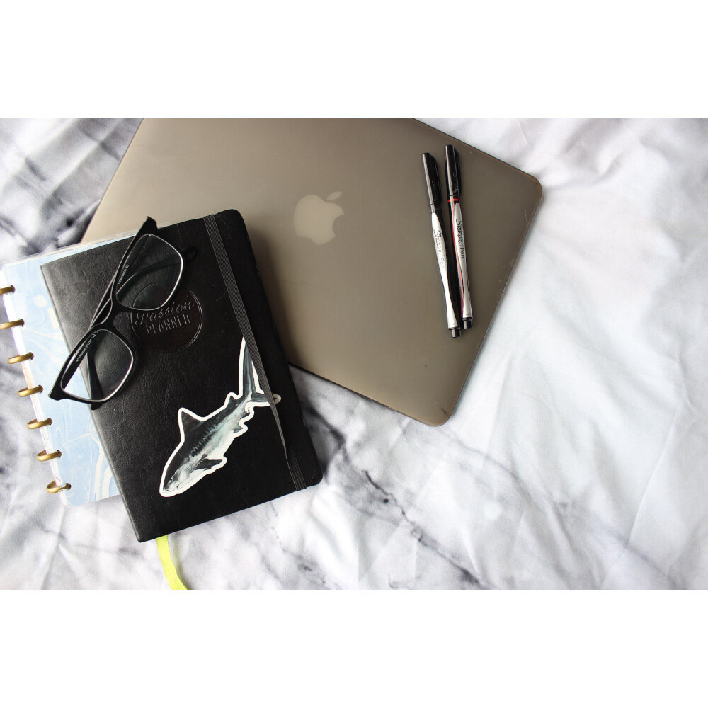 Tiger Shark Stationary.jpg