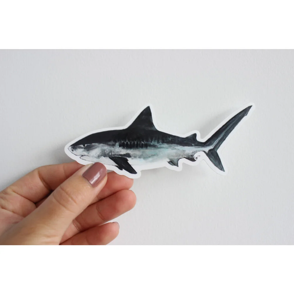Tiger Shark Sticker 1000x1000.jpg